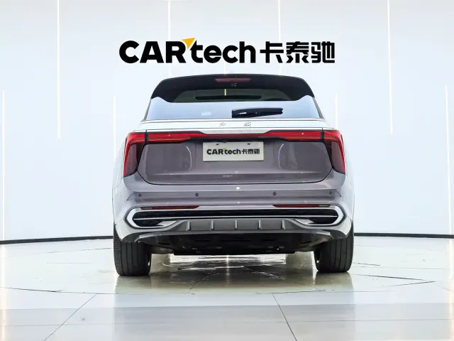 Hongqi E-HS9 — Фото автомобиля 5
