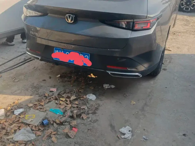 Changan Lamore — Фото автомобиля 3