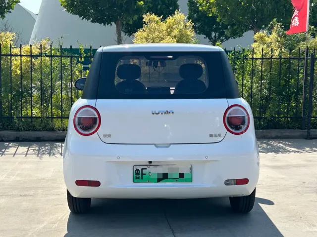 Changan Lumin — Фото автомобиля 10