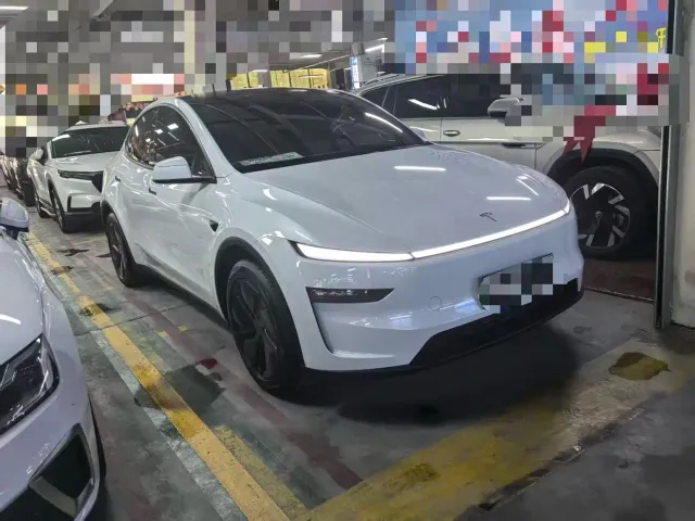 Tesla Model Y — Фото автомобиля 4