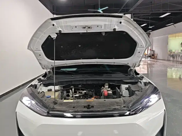 Dongfeng Fengshen L7 — Фото автомобиля 19