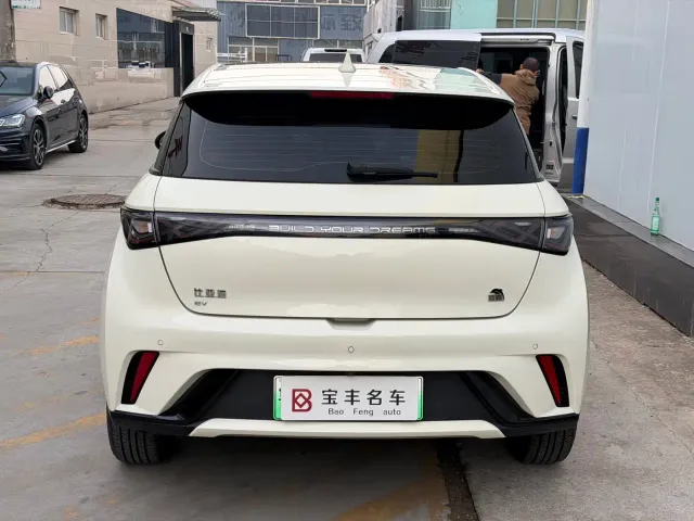 BYD Dolphin — Фото автомобиля 10