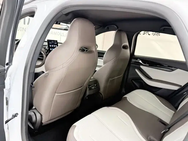 BYD Qin PLUS — Фото автомобиля 11