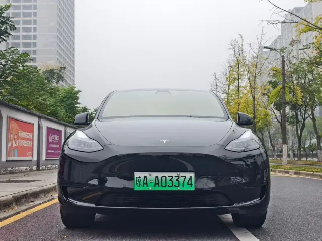 Tesla Model Y — Фото автомобиля 2