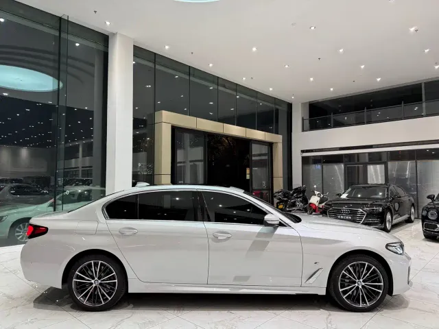 BMW 5 Series — Фото автомобиля 16