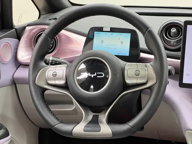 BYD Dolphin — Фото автомобиля 26