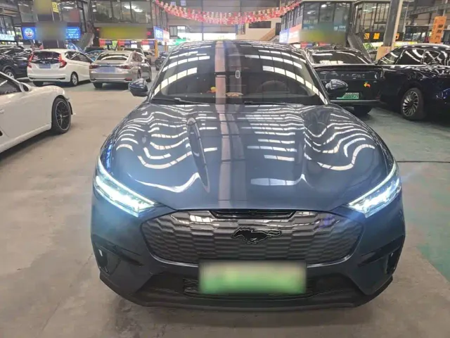 Ford Mustang Mach-E — Фото автомобиля 2