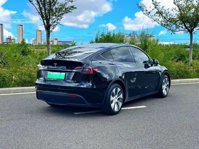 Tesla Model Y — Фото автомобиля 9