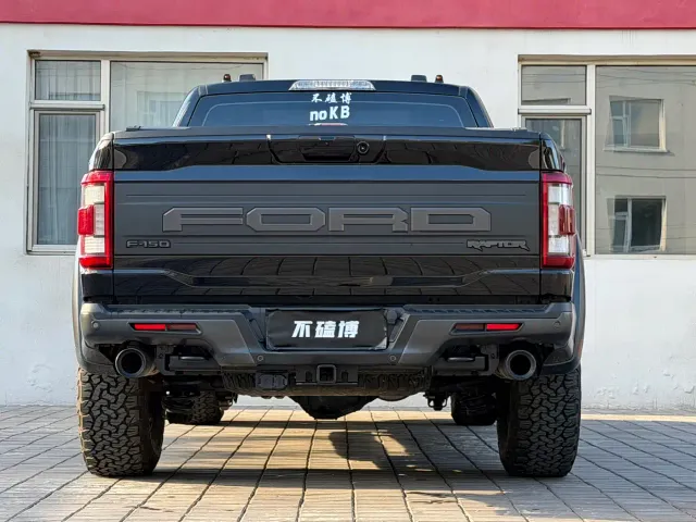 Ford F-150 Raptor — Фото автомобиля 5
