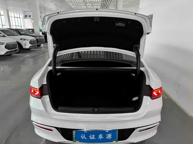 BYD Qin PLUS — Фото автомобиля 9