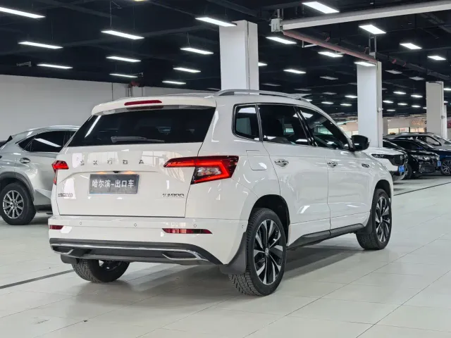 Skoda Karoq — Фото автомобиля 22
