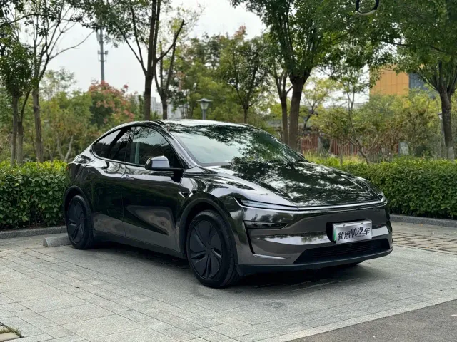 Tesla Model Y — Фото автомобиля 3