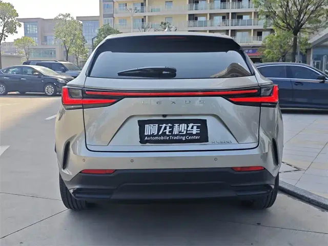 Lexus NX — Фото автомобиля 8