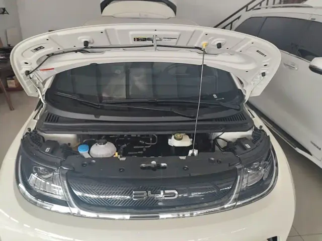 BYD Dolphin — Фото автомобиля 19