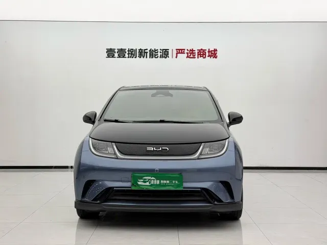 BYD Dolphin — Фото автомобиля 2
