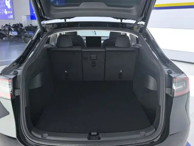 Tesla Model Y — Фото автомобиля 4