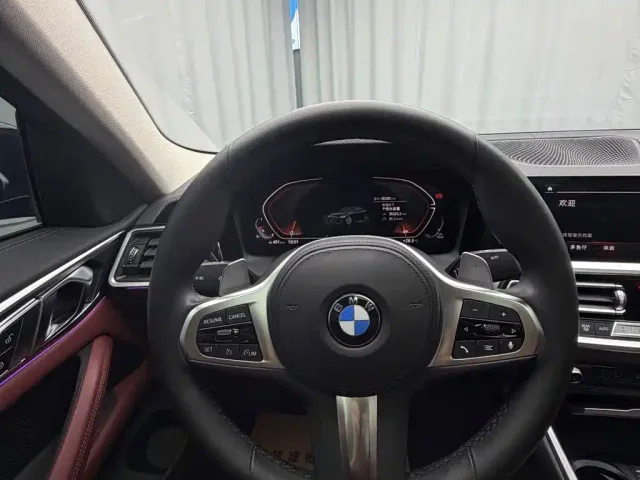 BMW 4 Series — Фото автомобиля 14