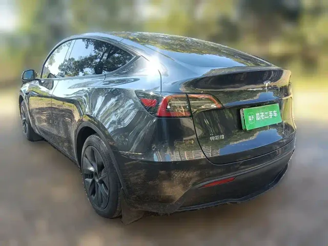 Tesla Model Y — Фото автомобиля 4