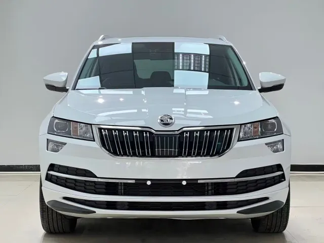 Skoda Karoq — Фото автомобиля 2