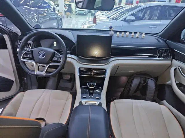 BYD Song PLUS — Фото автомобиля 9