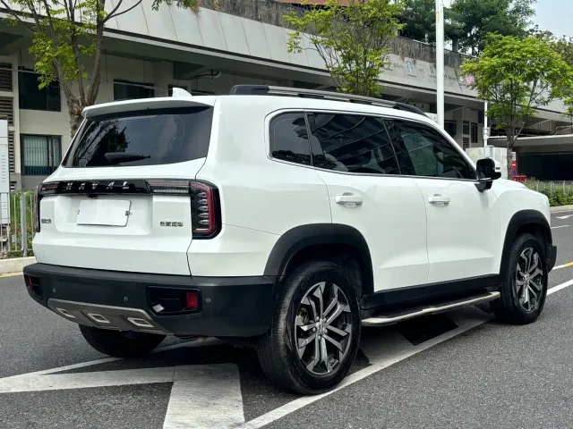 Haval Haval Big Dog 2022 1.5T DCT FWD Border Collie Edition — Фото автомобиля 18