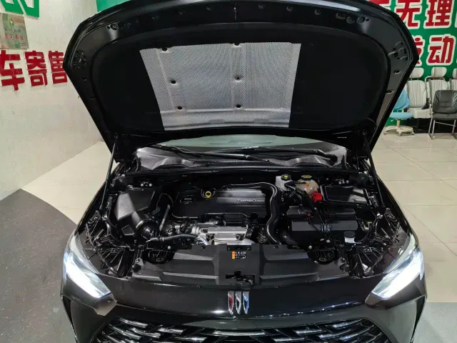 Buick Regal — Фото автомобиля 10