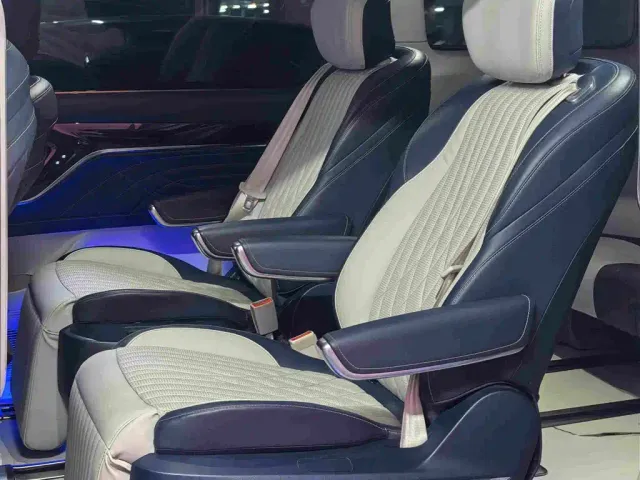 Maxus Dajia 9 — Фото автомобиля 14
