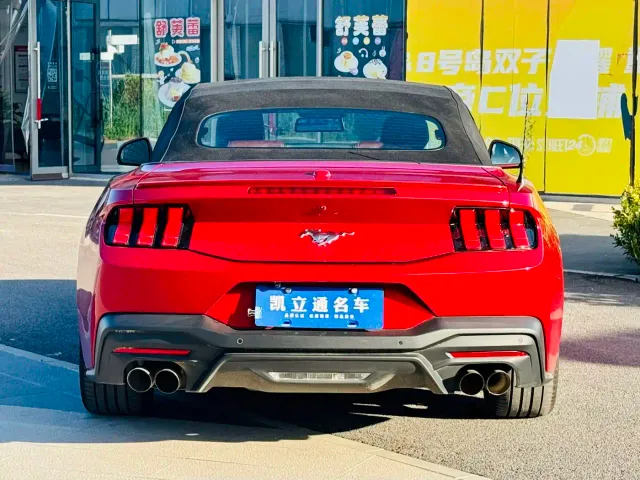 Ford Mustang — Фото автомобиля 4