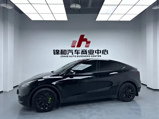 Tesla Model Y — Фото автомобиля 5
