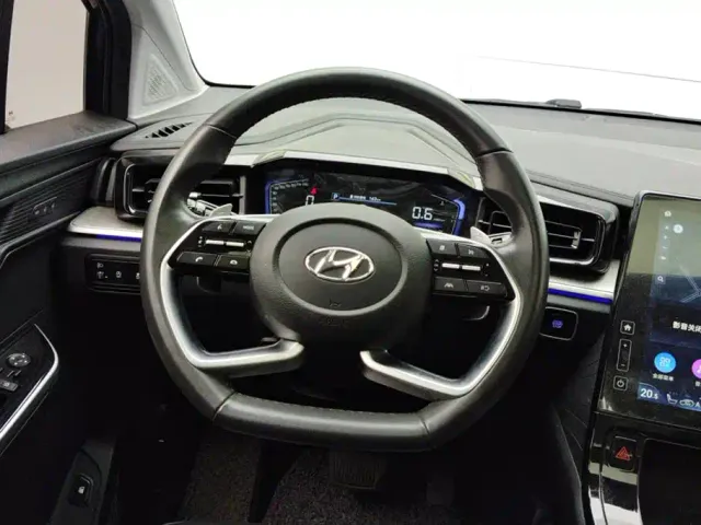 Hyundai Custo — Фото автомобиля 15