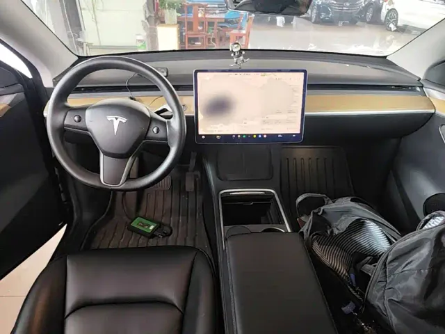 Tesla Model Y — Фото автомобиля 9
