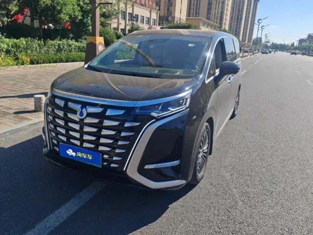 Фотография автомобиля — Denza D9