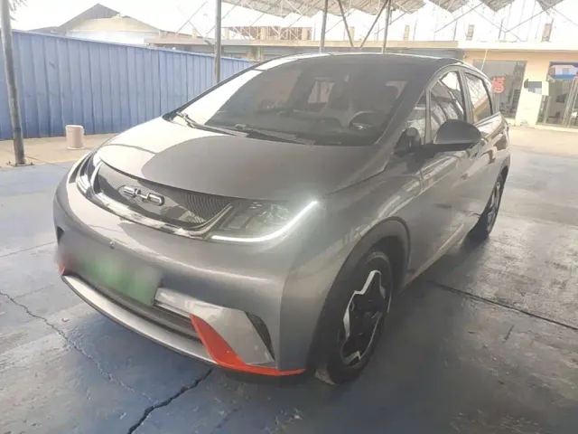 Фотография автомобиля — BYD Dolphin