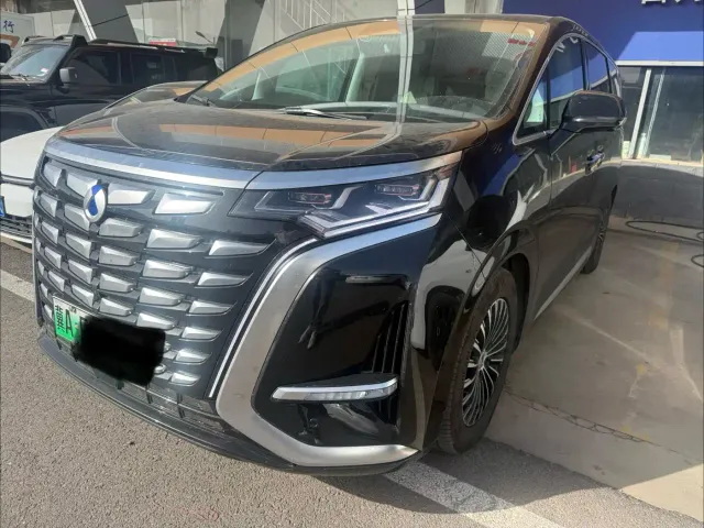 Фотография автомобиля — Denza D9