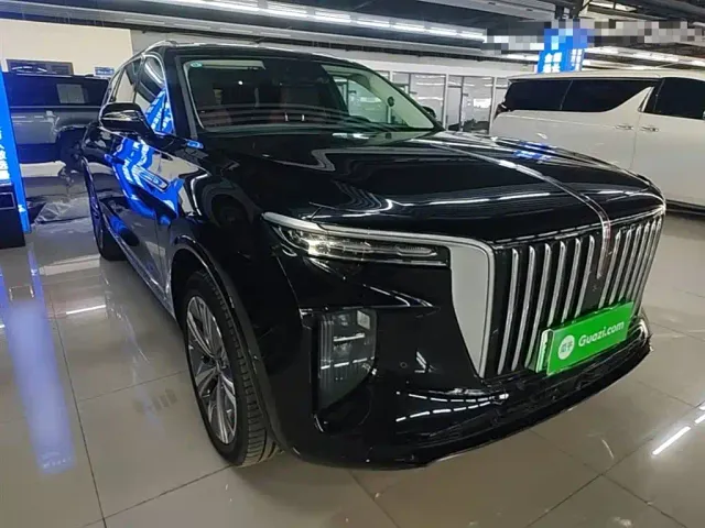 Hongqi E-HS9 — Фото автомобиля 3