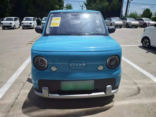 Livan Ruilan Blue Elf — Фото автомобиля 2