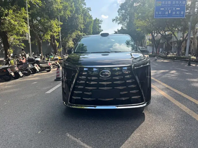 Фотография автомобиля — GAC Trumpchi Xiangwang M8