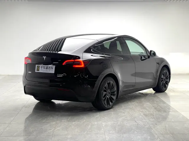 Tesla Model Y — Фото автомобиля 6