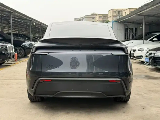Tesla Model Y — Фото автомобиля 8