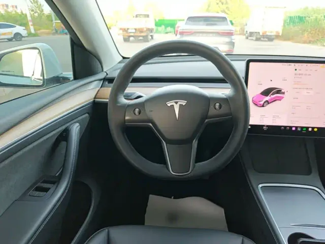Tesla Model Y — Фото автомобиля 10