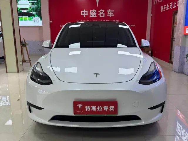 Tesla Model Y — Фото автомобиля 2