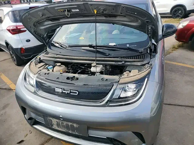 BYD Dolphin — Фото автомобиля 19