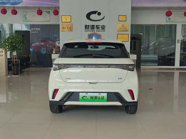 BYD Dolphin — Фото автомобиля 5