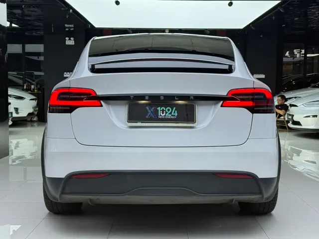 Tesla Model X — Фото автомобиля 5