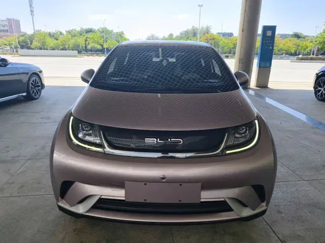 BYD Dolphin — Фото автомобиля 2