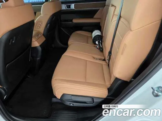Hyundai Santafe Santa Fe (MX5) — Фото автомобиля 14