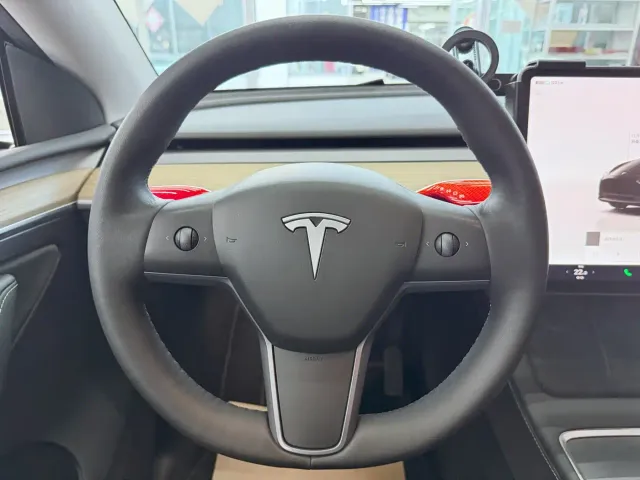 Tesla Model Y — Фото автомобиля 12