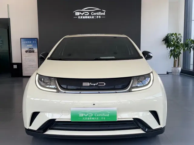 BYD Dolphin — Фото автомобиля 2
