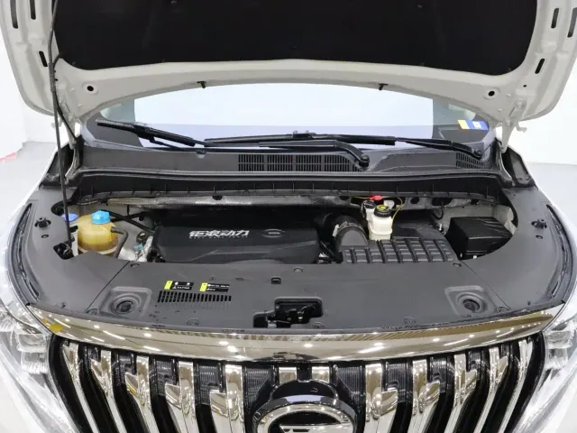GAC Trumpchi M8 — Фото автомобиля 19