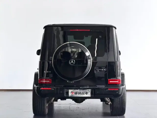 Mercedes-Benz G-Class — Фото автомобиля 21